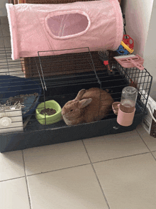 a rabbit is laying in a cage with a pink tunnel