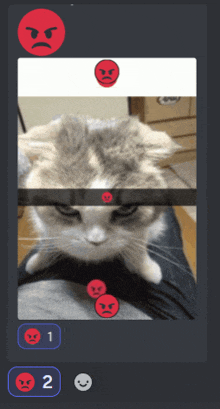 a screenshot of a cat with angry faces on it and the number 2