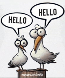 two seagulls standing next to each other with speech bubbles saying hello