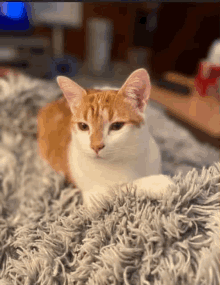 a cat is laying on a fluffy blanket on a bed .