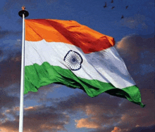 an indian flag is flying in the wind with birds flying in the background