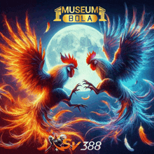 a poster for museum bola with two roosters fighting