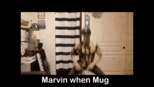 a video of a man playing drums with the words marvin when mug written below him