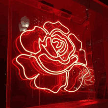 a neon sign of a red rose is hanging in a window