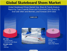 a global skateboard shoes market report by type cupsole shoes and vulcanized sole shoes by end-user men and women and forecast 2019-2025