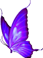 a purple butterfly with a white background is flying