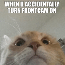 a close up of a cat 's face with the caption when u accidentally turn frontcam on