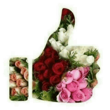 a thumbs up sign made out of roses on a white background .