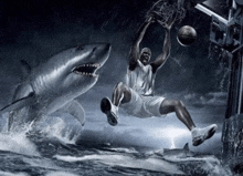 a basketball player is being attacked by sharks