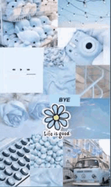 a collage of blue and white photos with a flower and a camera