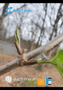 a picture of a tree branch with the words any task written above it