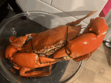 a crab in a clear bowl with a string around it