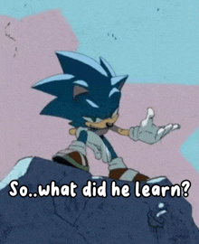 a cartoon of sonic the hedgehog standing on a rock with the words so what did he learn written below him .