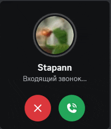 a phone screen with a picture of kermit the frog and the name stappenn