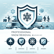 an advertisement for professional snow removal shows a snowflake on a shield