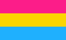 a pansexual flag with pink , yellow , and blue stripes .