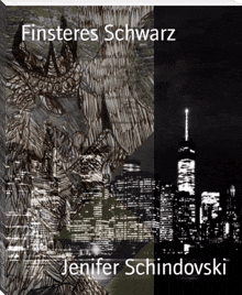 a book called finsters schwarz by jennifer schindovski