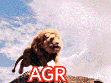 a lion is jumping over a rock with the word agr written in red