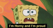 spongebob says i 'm horny and i 'm proud in a cartoon