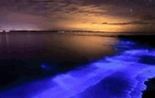 a sunset over a body of water with blue lights coming out of it