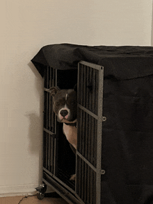 a dog in a cage with a black cover