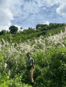 a person standing in a field of tall grass with trees in the background