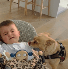 a baby sitting in a high chair next to a dog wearing a harness that says ' babyborn ' on it