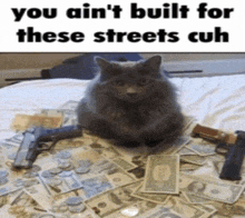 a cat is sitting on a pile of money and guns on a bed .