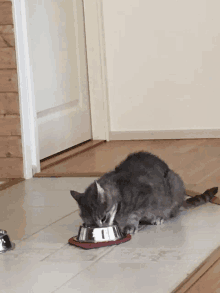 a cat is eating out of a silver bowl