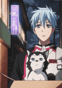 a boy holding a cat with seiko on his shirt