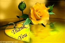 a yellow rose is sitting next to a heart that says thank you .