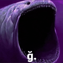 a picture of a shark with its mouth wide open and the letter g visible