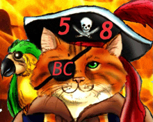 a cat wearing a pirate hat with the number 5 and 8