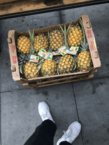 a person standing next to a box of pineapples that says dole