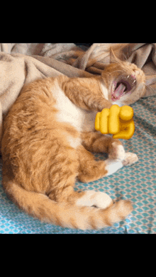 a cat laying on a bed with its mouth open next to a fist