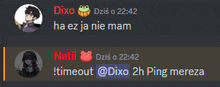 a screenshot of a conversation between dixo and natii