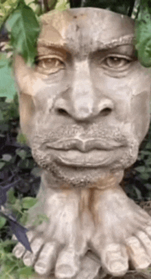 a close up of a statue of a man 's face with a beard