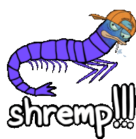 a cartoon shrimp wearing a hat and smoking a cigarette with the word shremp !!! below it