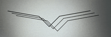 a drawing of a bird 's wings on a grey background