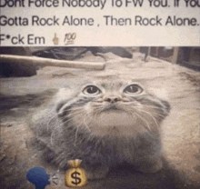 a cat is holding a bag of money next to a sign that says `` gotta rock alone , then rock alone . ''