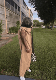 a man with a dog 's head is standing in a grassy field