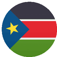 a circle with the flag of sudan with a yellow star in the middle