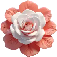 a pink and white rose with the letters ae on the center