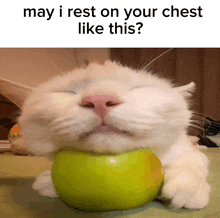 a cat with its eyes closed is holding a green apple in its mouth