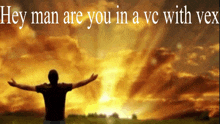 a man with his arms outstretched in front of a sunset with the words hey man are you in a vc with vox below him