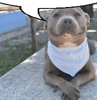 a dog wearing a bandana and a speech bubble above it