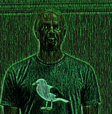 a man in a green shirt with a seagull on it