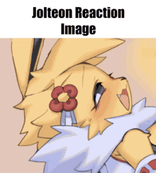 a cartoon of a rabbit with a flower in its ear and the words jolteon reaction image above it