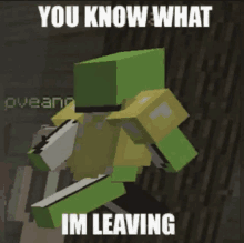 a picture of a minecraft character with the words `` you know what im leaving '' written on it .