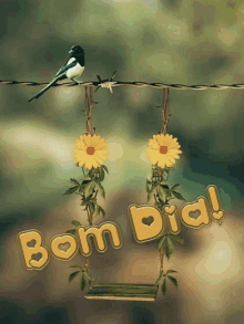 a bird is perched on a barbed wire fence next to a swing that says bom dia on it